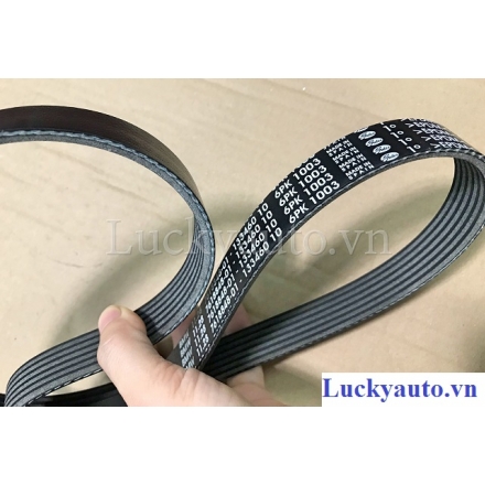 Dây curoa xe BMW 320i đời 2015_ 11287618848_  11 28 7 618 848